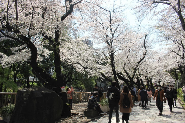 王子神社前の公園は桜の名所