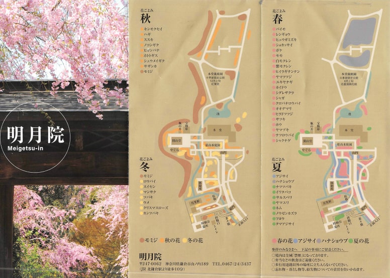 明月院のお花カレンダーとマップ