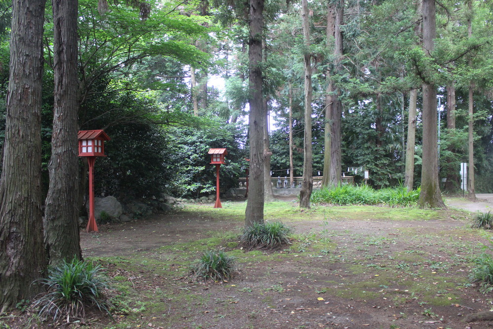 三宮比々多神社の鎮守の森