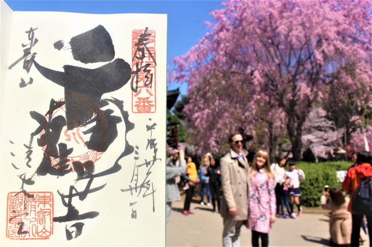 記事内の御朱印・境内の写真はすべて参拝時のもの。